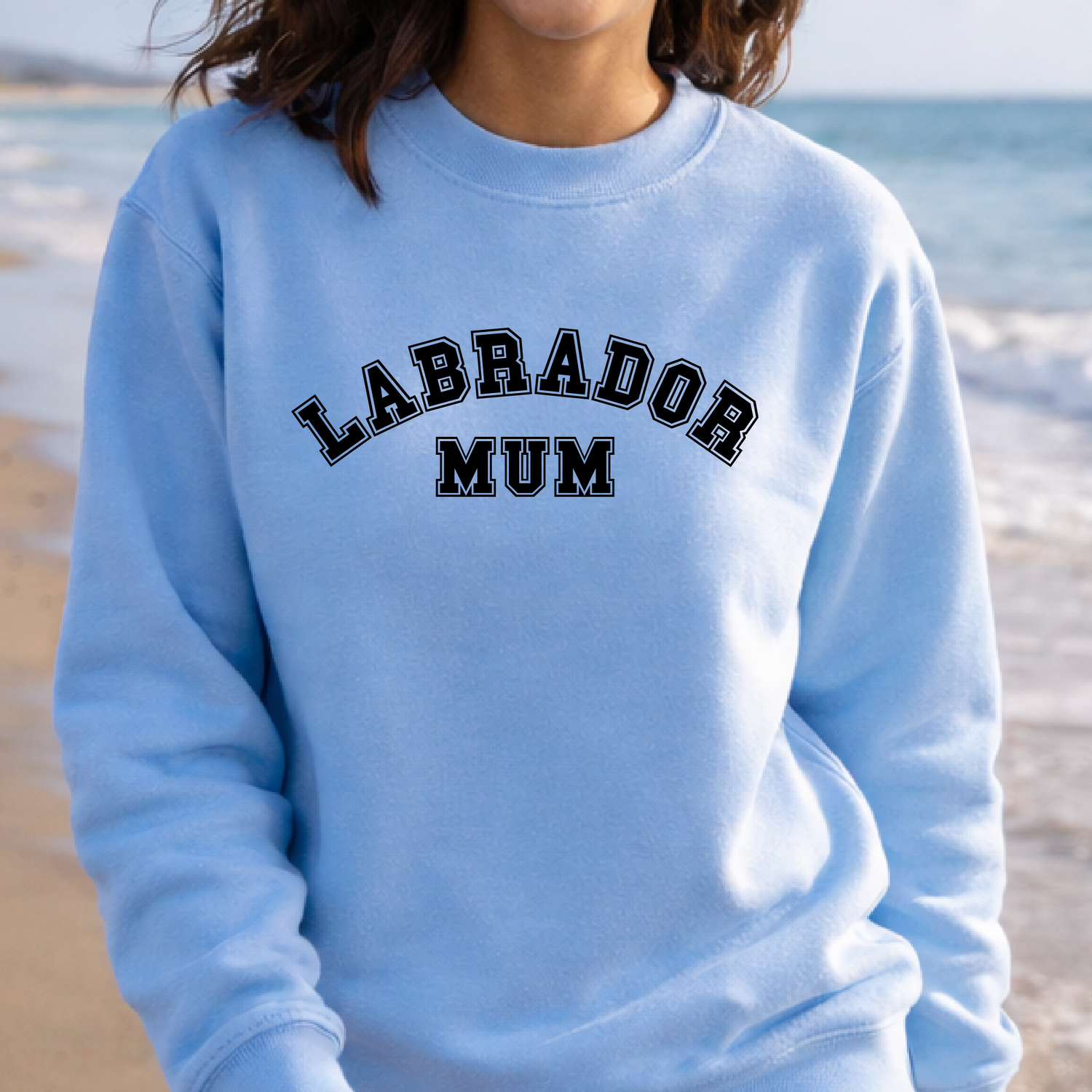 Labrador Gifts, Clothing & Accessories for Labrador Lovers