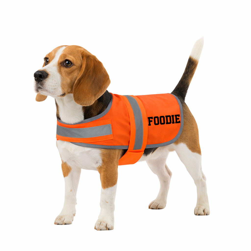 Personalised Hi Vis Dog Vest – Custom Name/ Message