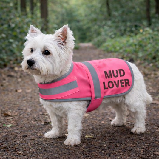 Personalised Hi Vis Dog Vest – Custom Name/ Message