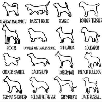 Illustrations of various dog breeds with their names