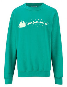 Glow in the Dark Santa and His Dogs Sweatshirt- Jade Size 5-6Y (28")